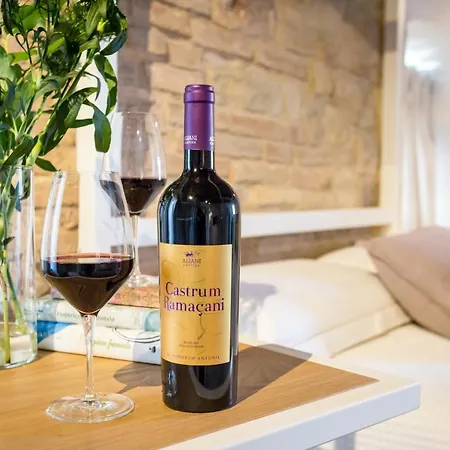 Vakantieboerderij Castello Di Ramazzano - Tenute Aliani Perugia